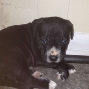 Meet your Posher, Jkandula